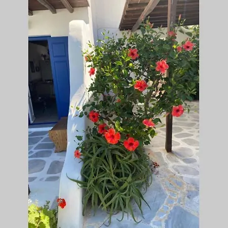 Nyaraló Pigeon House Ornos *