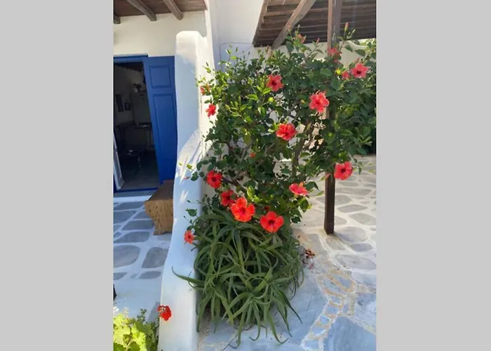 Σπίτι διακοπών Pigeon House Ornos *